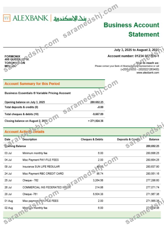 Alex bank company statement Word and PDF format